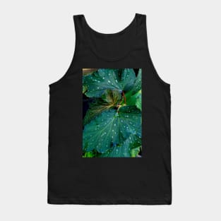 ornamental plants Tank Top